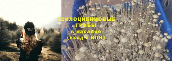 прущие крисы Алексеевка