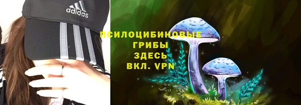 прущие крисы Алексеевка