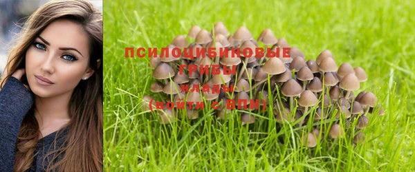 MDMA Алзамай